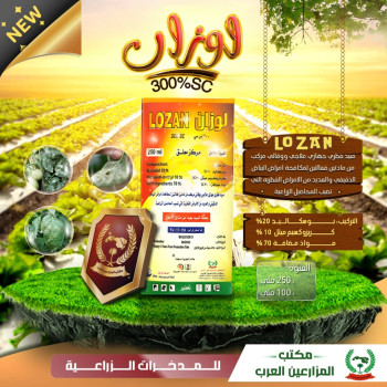 لوزان