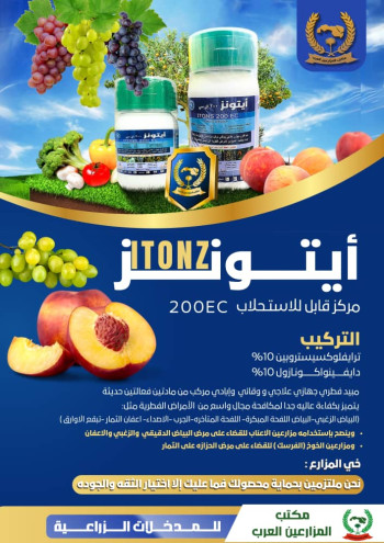ايتونز