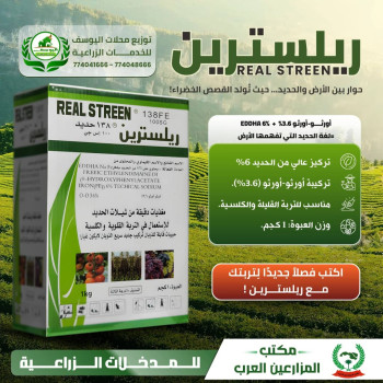 ريلسترين