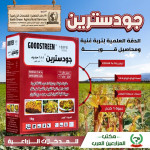 جود سترين